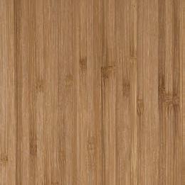 Bamboo