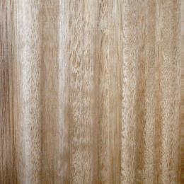 Eucalyptus