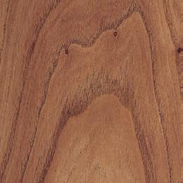 Red Elm